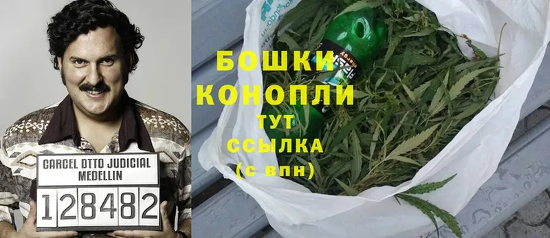 Марихуана план  shop телеграм  Микунь  наркота 